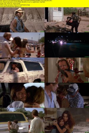 Lone Wolf McQuade 1983 720p ROKU WEBRip 800MB x264-GalaxyRG