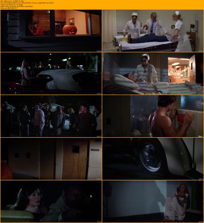 Halloween Collection 1080p BRRip x264 AC3 DiVERSiTY