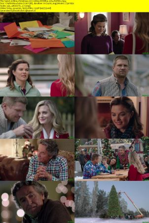 Miss Christmas 2017 1080p WEBRip x264-RARBG