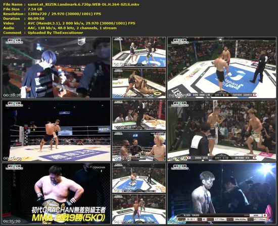RIZIN Landmark 6 720p WEB-DL H264-SZLS