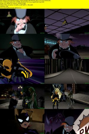The Batman S04 NF WEB-DL DD2.0 x264-CtrlSD