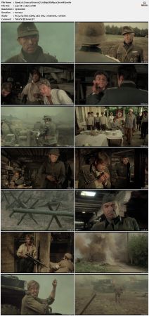 Cross of Iron 1977 1080p BluRay x264-nikt0
