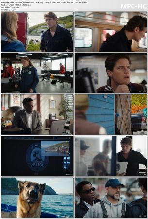 Hudson and Rex S06E01 Ghost Ship 1080p AMZN WEB-DL 10bit SDR DDP5.1 x265-YELLO