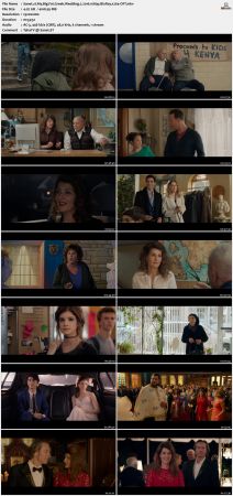 My Big Fat Greek Wedding 2 2016 1080p BluRay x264-OFT