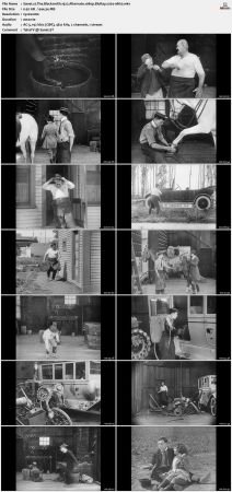 The Blacksmith 1922 Alternate 1080p BluRay x264-nikt0