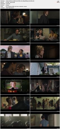 Words on Bathroom Walls 2020 1080p BluRay x264-nikt0