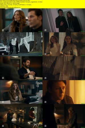 SurrealEstateS 02E03 WEB x264-TG