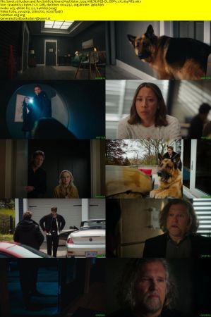 Hudson and Rex S06E03 Hound And Vision 720p AMZN WEB-DL DDP5.1 H.264-NTb