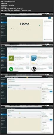 Elementor Review 2023 (Wordpress Website Within One Hour)