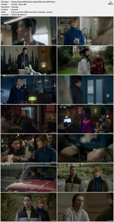 Harry Wild S02E04 1080p WEB x264-SOiNTA