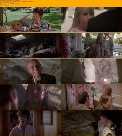 Poltergeist Collection 1080p BRRip x264 AC3 DiVERSiTY