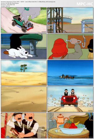 Adventures of Tintin 1991 S02 1080p BluRay x265 HEVC 10bit EAC3 2.0 Garshasp QXR