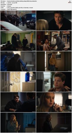 Hudson and Rex S06E03 1080p WEB H264-Z00N
