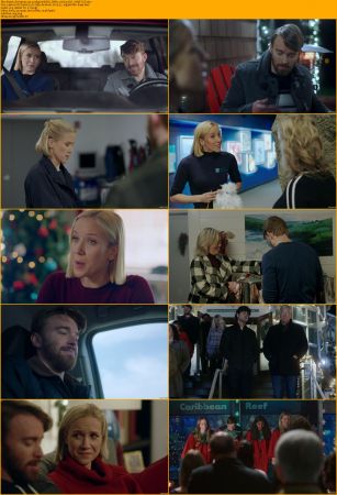 Mystic Christmas 2023 1080p WEB-DL DDP5.1 H264-AOC