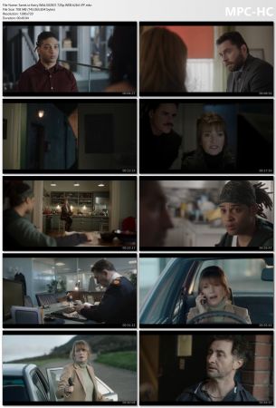Harry Wild S02E01 720p WEB h264-JFF
