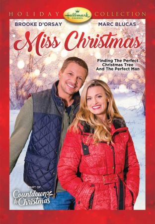 Miss Christmas 2017 1080p WEBRip x264-RARBG