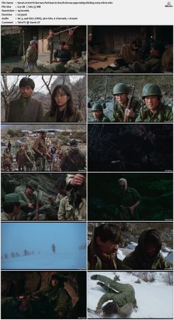 North Korean Partisan in South Korea 1990 1080p BluRay x264-nikt0