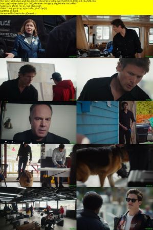 Hudson and Rex S06E01 Ghost Ship 1080p AMZN WEB-DL DDP5.1 H.264-NTb