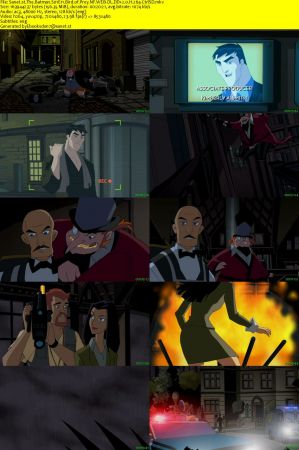 The Batman S01 NF WEB-DL DD2.0 x264-CtrlSD