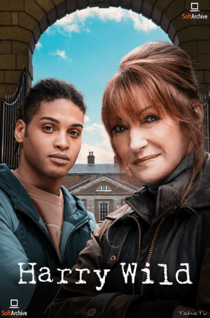Harry Wild S02E04 1080p WEB x264-SOiNTA