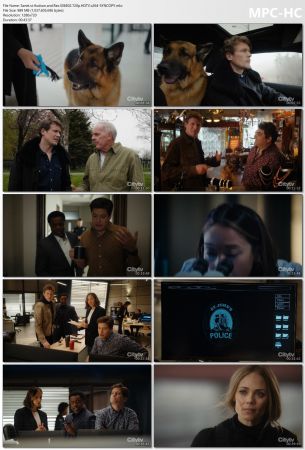 Hudson and Rex S06E02 720p HDTV x264-SYNCOPY