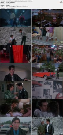 The Heavenly Kid 1985 1080p BluRay x264-nikt0