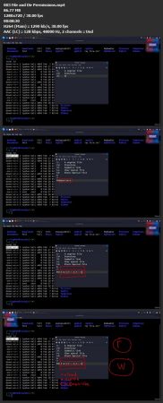 Master Penetration Testing and Ethical Hacking: From A to Z