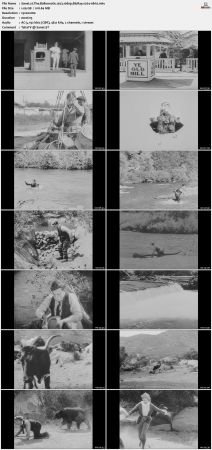 The Balloonatic 1923 1080p BluRay x264-nikt0