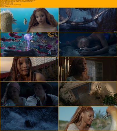 The Little Mermaid 2023 BluRay 1080p DTS-HD MA 7.1 x264-MgB