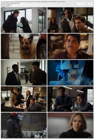 Hudson and Rex S06E02 The Good The Bad And The Rex 1080p AMZN WEB-DL 10bit SDR DDP5.1 x265-YELLO