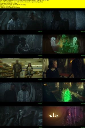 Doom Patrol S04E07 NORDiC 1080p HMAX WEB-DL DD5.1 H264-DKV