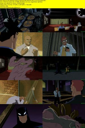 The Batman S04 NF WEB-DL DD2.0 x264-CtrlSD