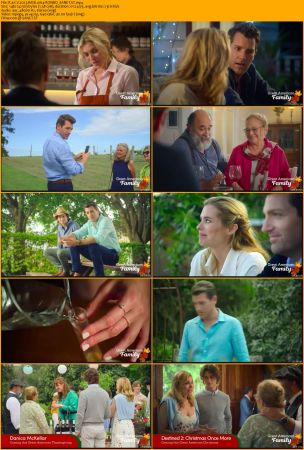 Romance At The Vineyard 2023 WEB x264-RONBO