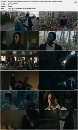 From 2022 S02 1080p STAN WEB-DL 10bit SDR DDP5 1 x265-YELLO