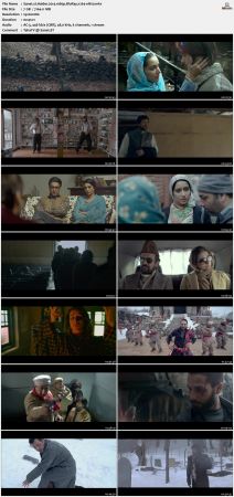 Haider 2014 1080p BluRay x264-nikt0