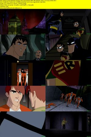 The Batman S04 NF WEB-DL DD2.0 x264-CtrlSD