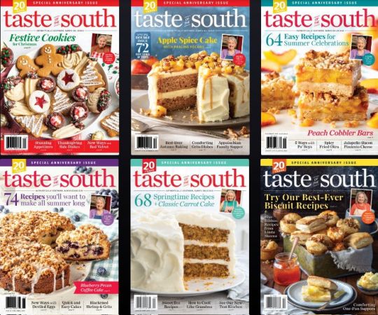 Taste of The South - 2023 Full Year Issues Collection
