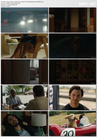TheA rt of Racing in the Rain 2019 1080p BluRay x265-RARBG