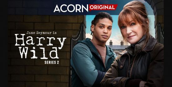 Harry Wild S02E02 WEB x264-NGP