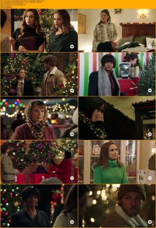 Tis The Season To Be Merry 2021 1080p AMZN WEB-DL H264-MERRY