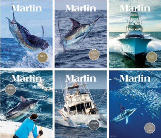 Marlin - Full Year 2023 Collection