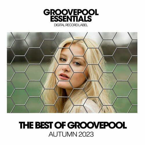 VA - The Best of Groovepool 2023 (2023)