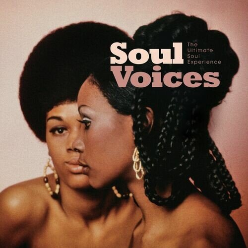 Various Artists - Soul Voices The Ultimate Soul Experience (2023)