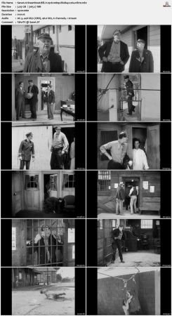 Steamboat Bill Jr. 1928 1080p BluRay x264-nikt0