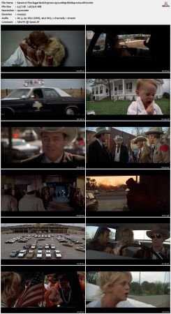 The Sugarland Express 1974 1080p BluRay x264-nikt0