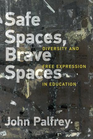Safe Spaces, Brave Spaces: Diversity and Free Expression in Education (MIT Press) (True PDF)