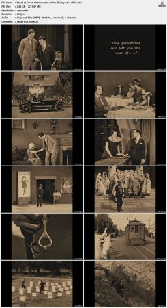 Seven Chances 1925 1080p BluRay x264-nikt0