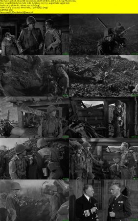 Pork Chop Hill 1959 1080p AMZN WEB-DL DDP 2.0 H264-PiRaTeS
