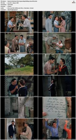 Summer Stock 1950 1080p BluRay x264-nikt0