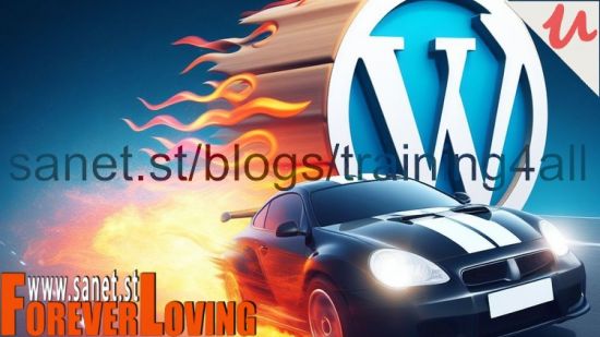 Wordpress Beginners Guide Site Speed Optimization Made Easy